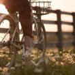 Fietsendragers: Kiezen, monteren en veilig fietsen transporteren
